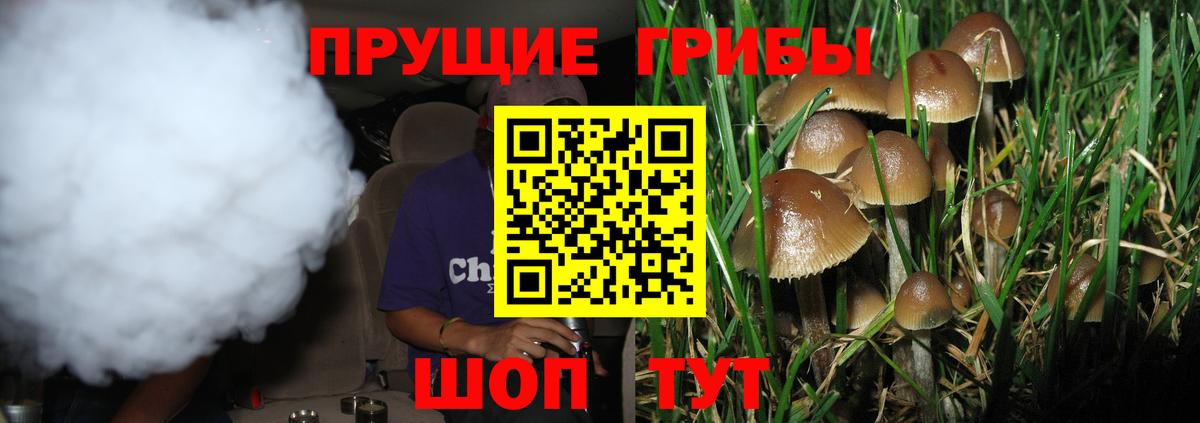 Псилоцибиновые грибы мухоморы Кострома